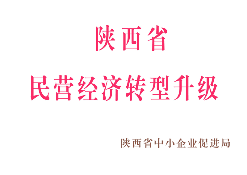 陜西省民營(yíng)經(jīng)濟(jì)轉(zhuǎn)型升級(jí)